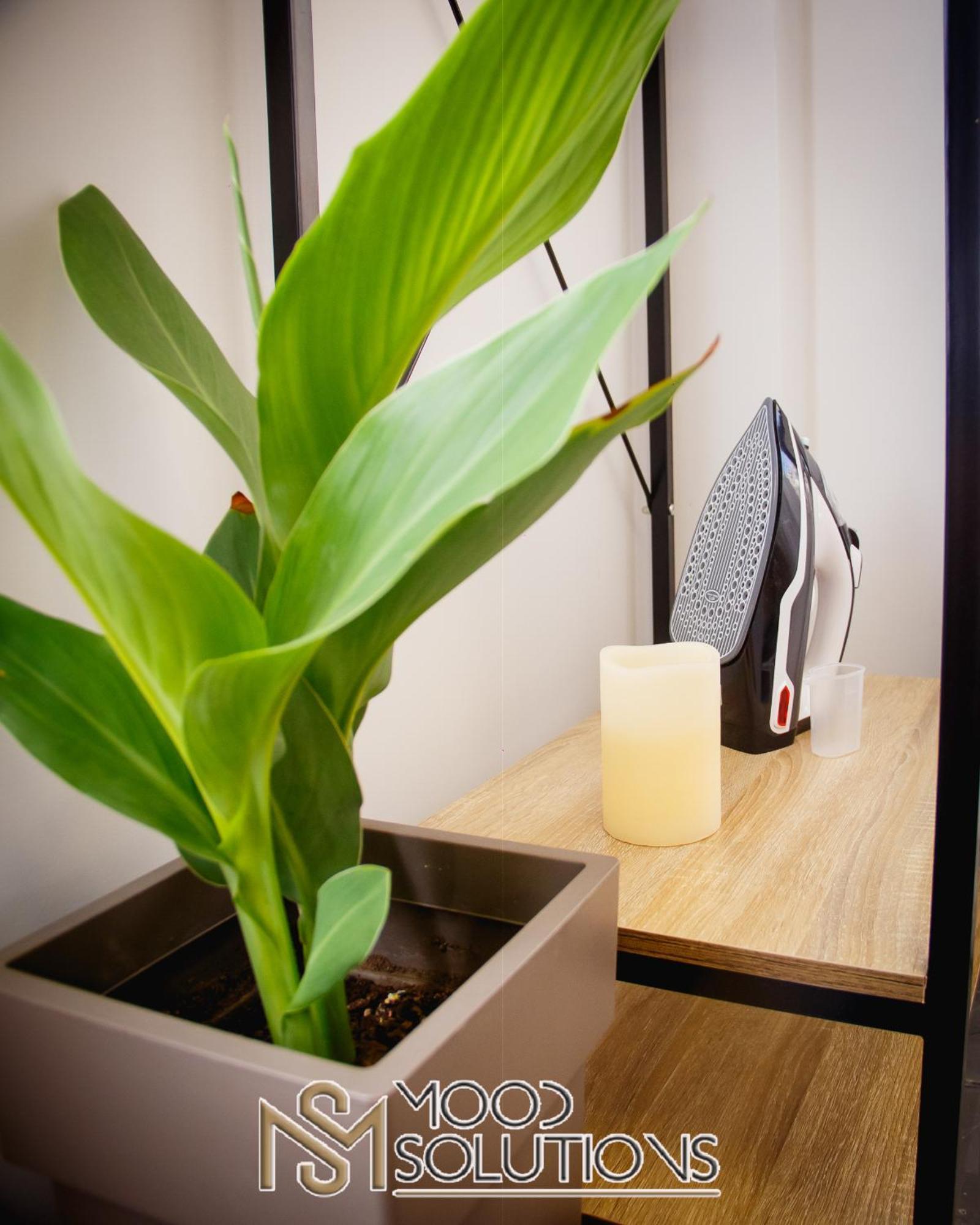 Apartment Polyane Expostudio Moodsolutions Living Thessaloniki